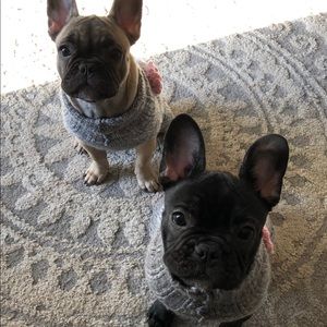 Meet your Posher, Susan